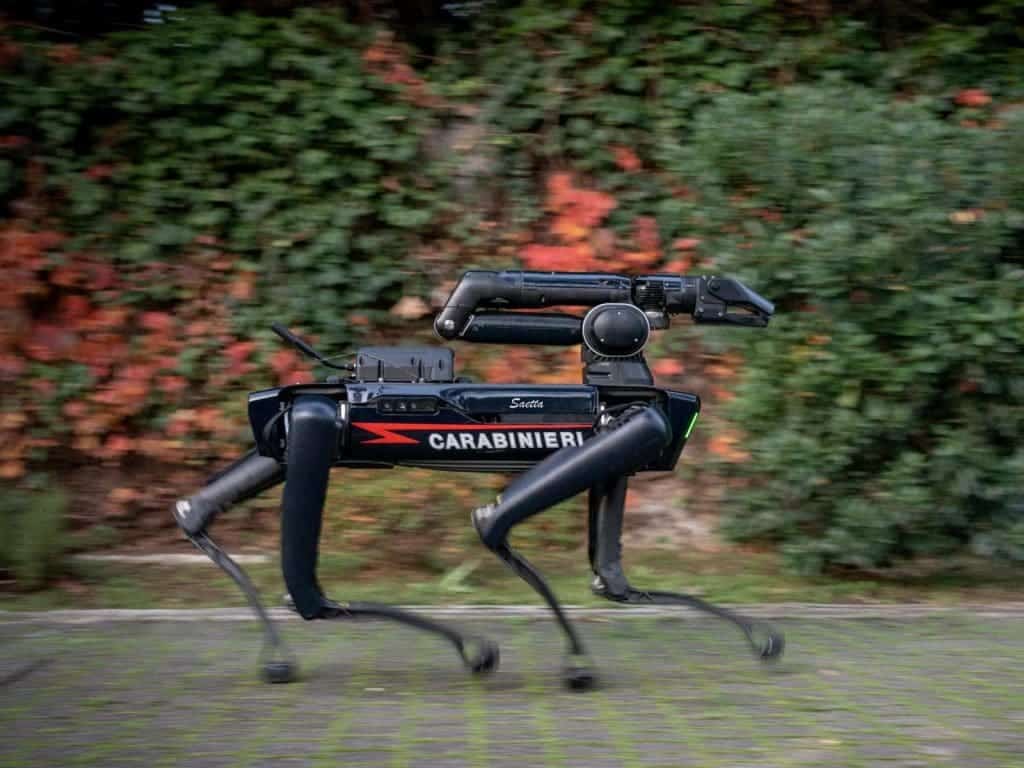foto cane robot 1 1024x768 1