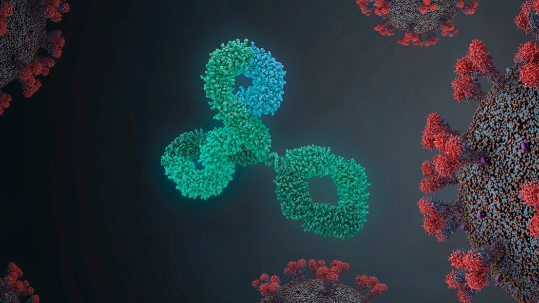 wired placeholder dummy