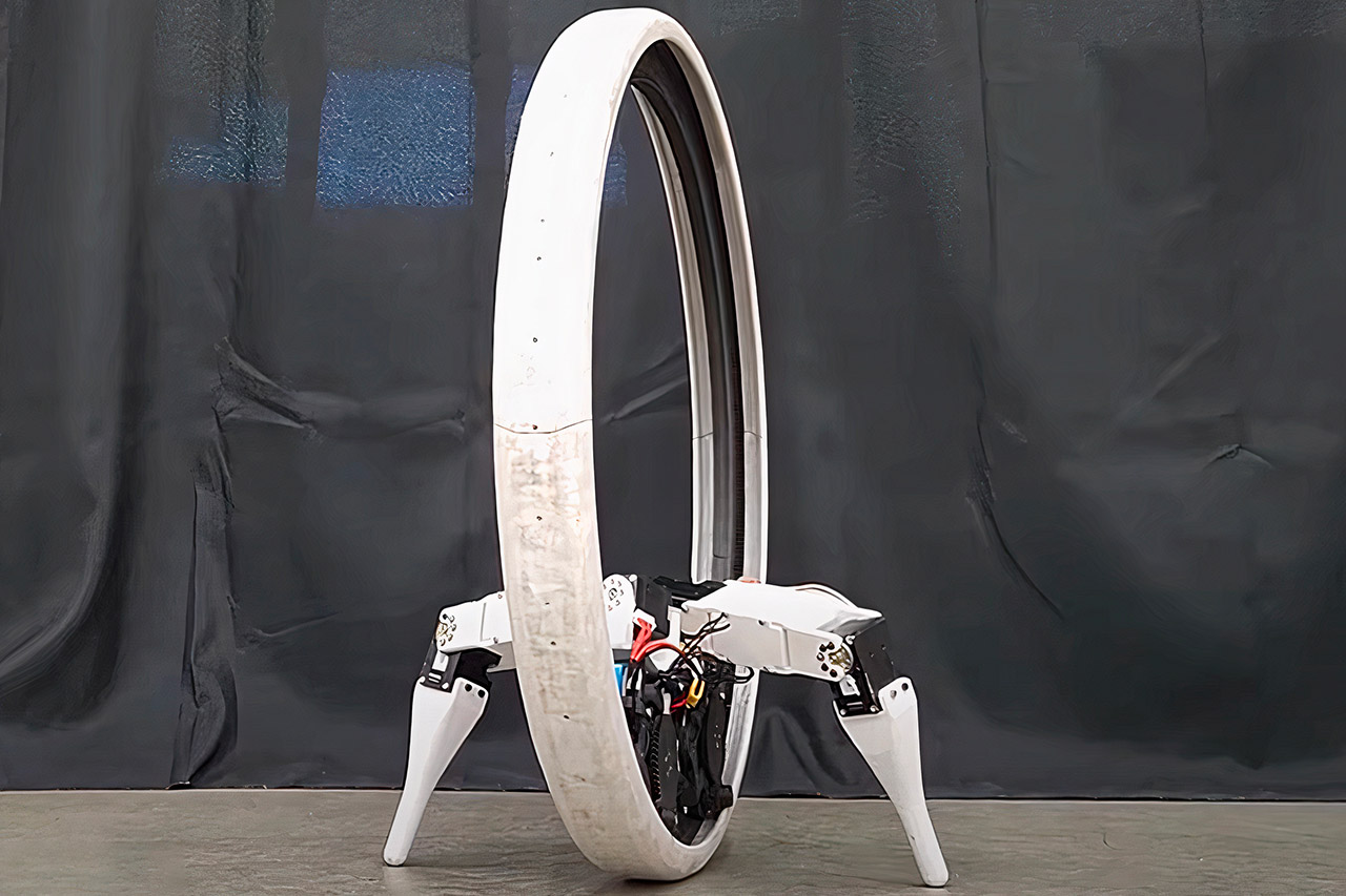 robot monocycle ringbot