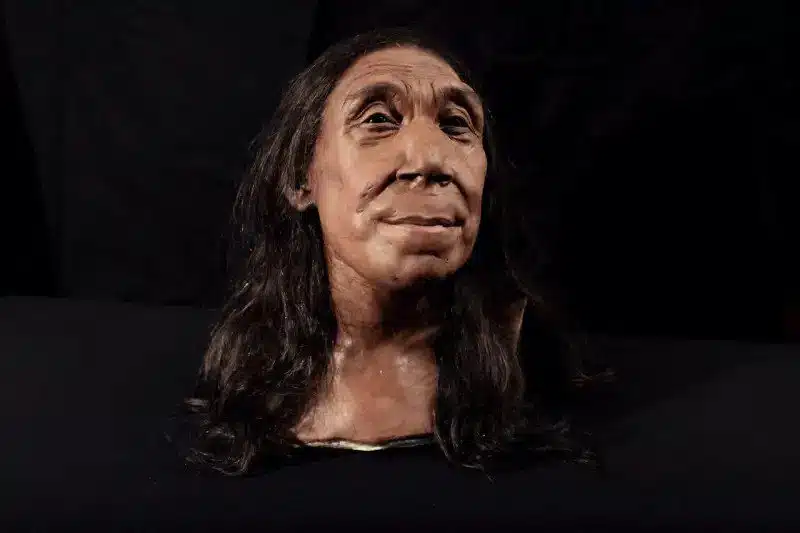 revealed face of