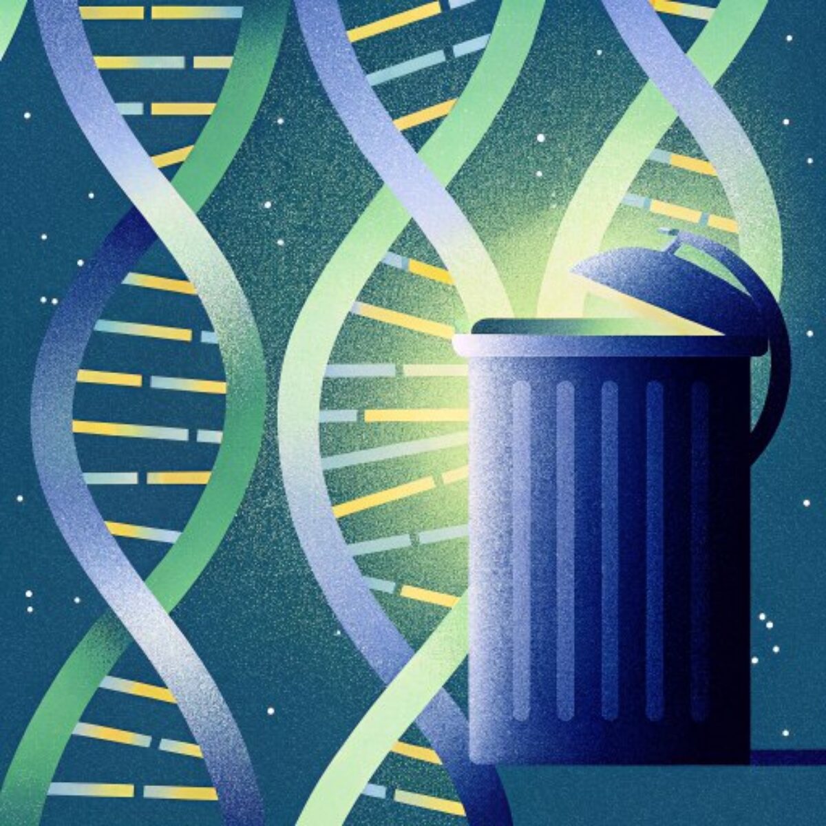 ジャンク DNA を超えたもの: 3000 個の新しい遺伝子が発見 |近未来 