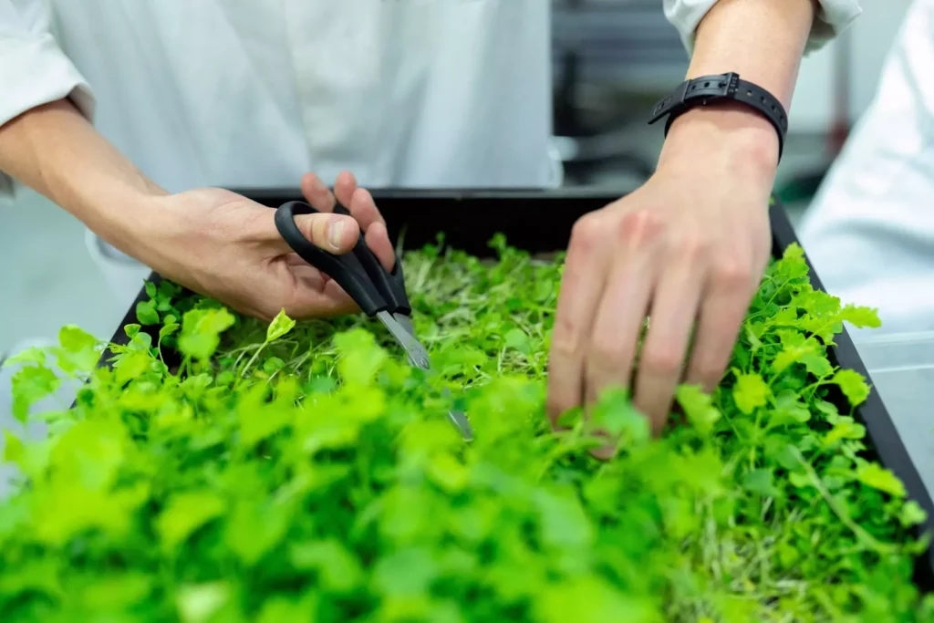 Sustainable agriculture