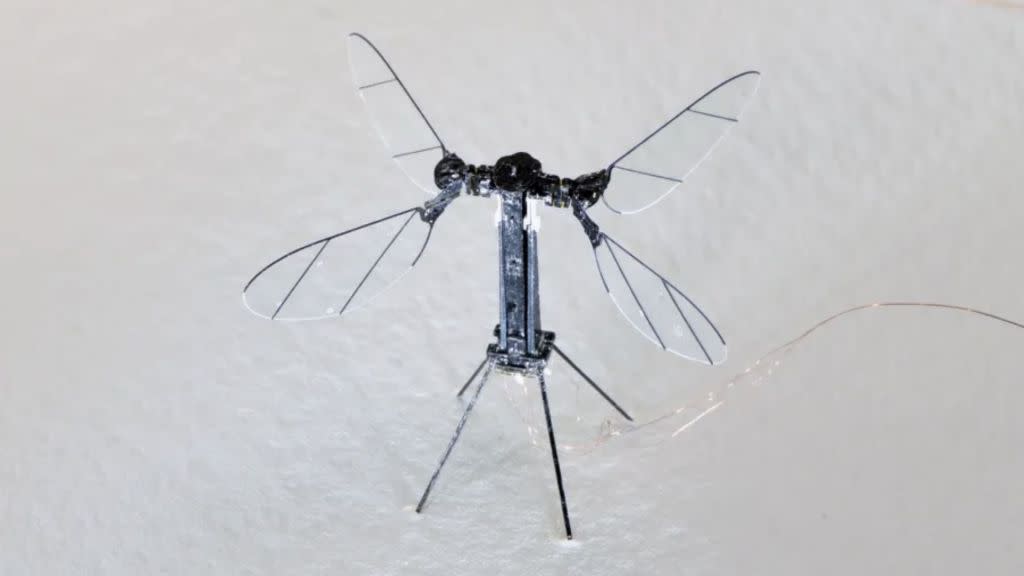 Micro droni