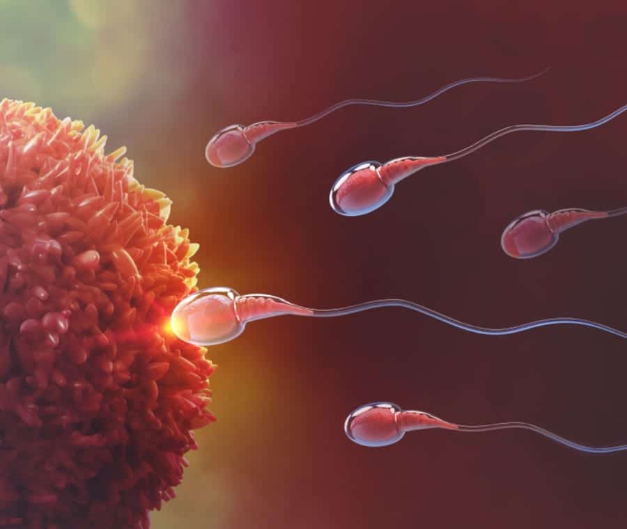 Sterilità infertilità