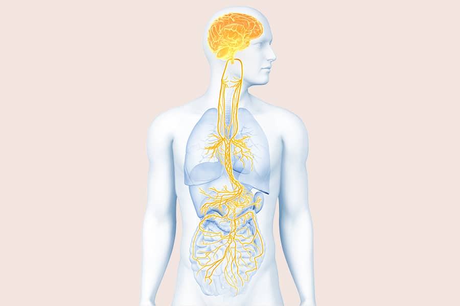 Artrite reumatoide