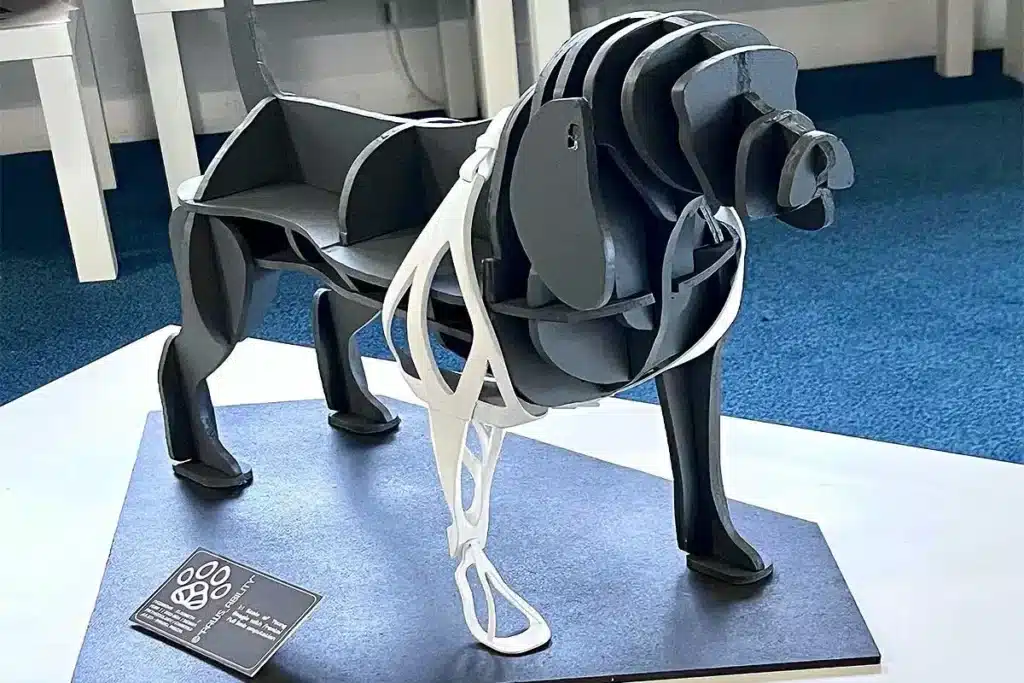 Protesi per cani
