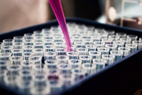 Laboratorio ricerca riboflavina batteria glucosio energia rinnovabile