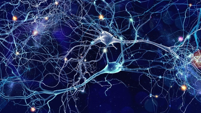 Robert Sapolsky Illuminated Brain Neurons, Symbol of Free Will Under Question