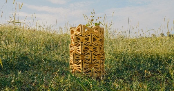 Stampa 3D robotica crea microclima per riforestazione con argilla