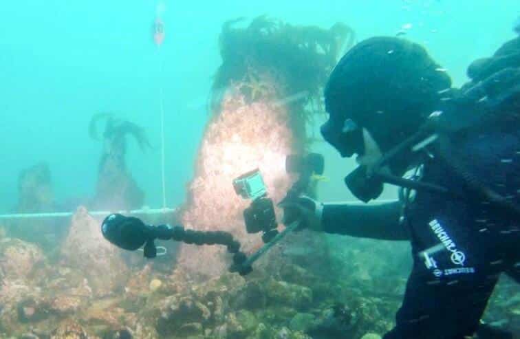 Scoperte archeologiche