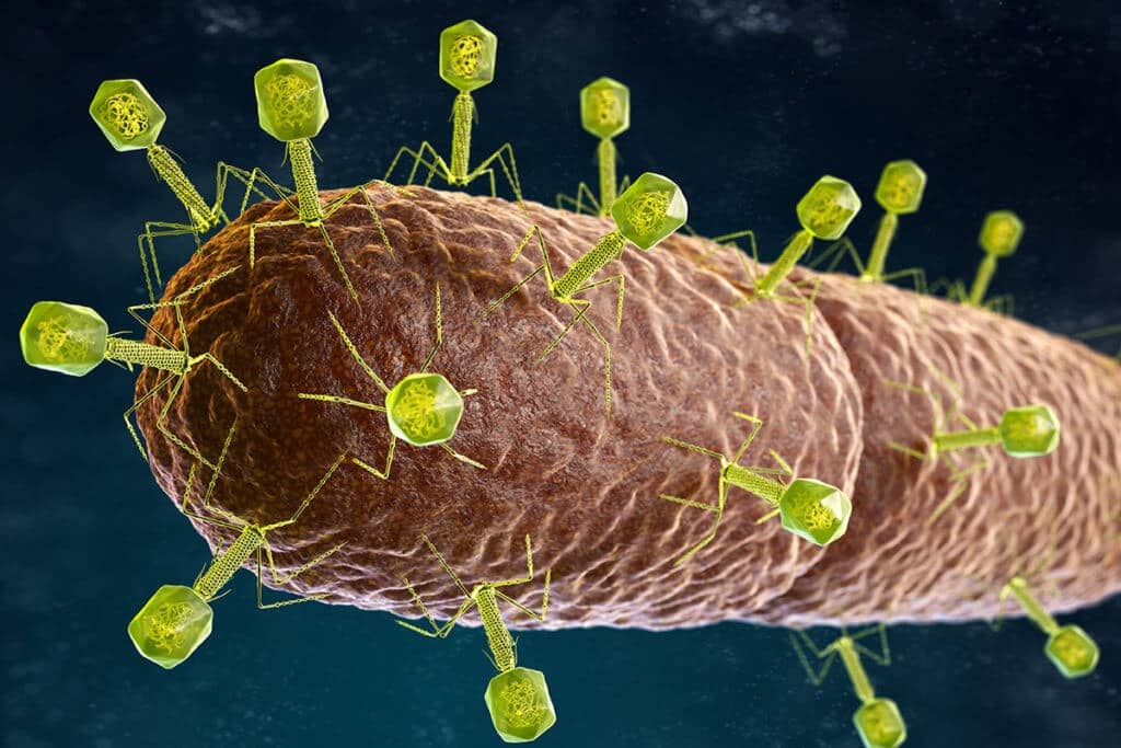 biomining virus terre rare microscopio elettronico