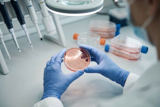 cellule immunitarie al microscopio laboratorio ricerca scientifica DNA