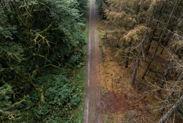 Respirazione del suolo foreste azoto