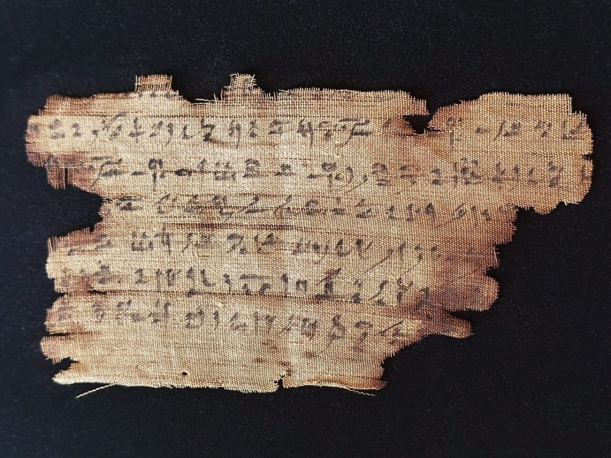 mummie egizie frammenti bende analisi chimica laboratorio università bristol