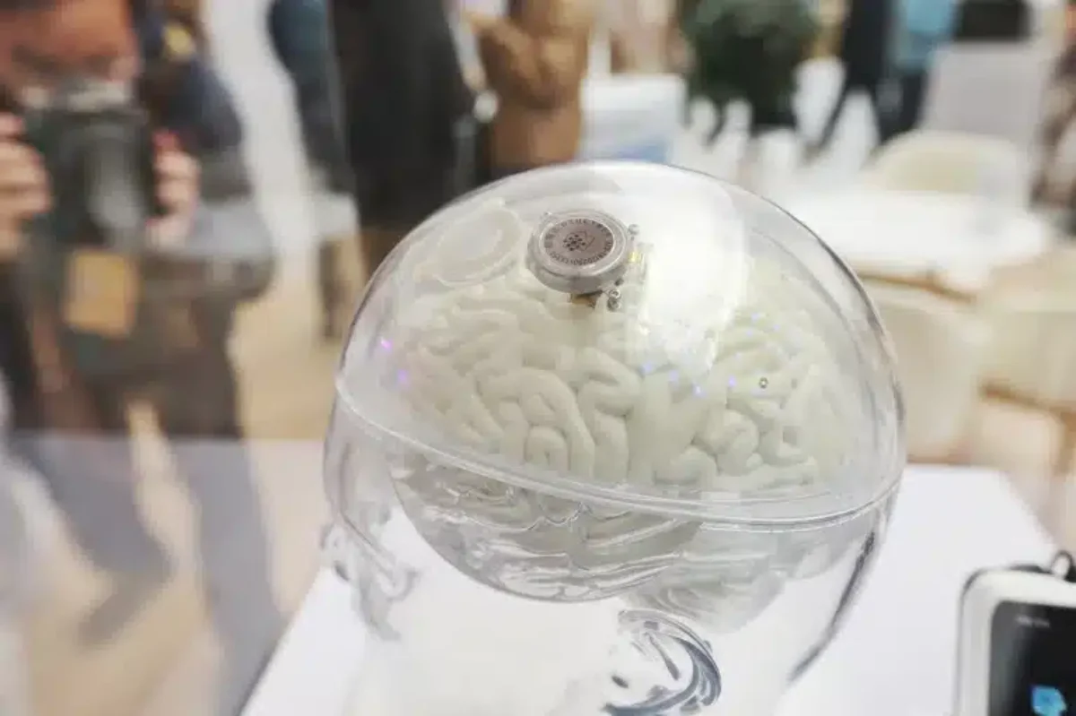 邦楽 Lucide synthetic brain AMCM-4336 China Approves World's First Brain Chip: Goodbye, Paralysis