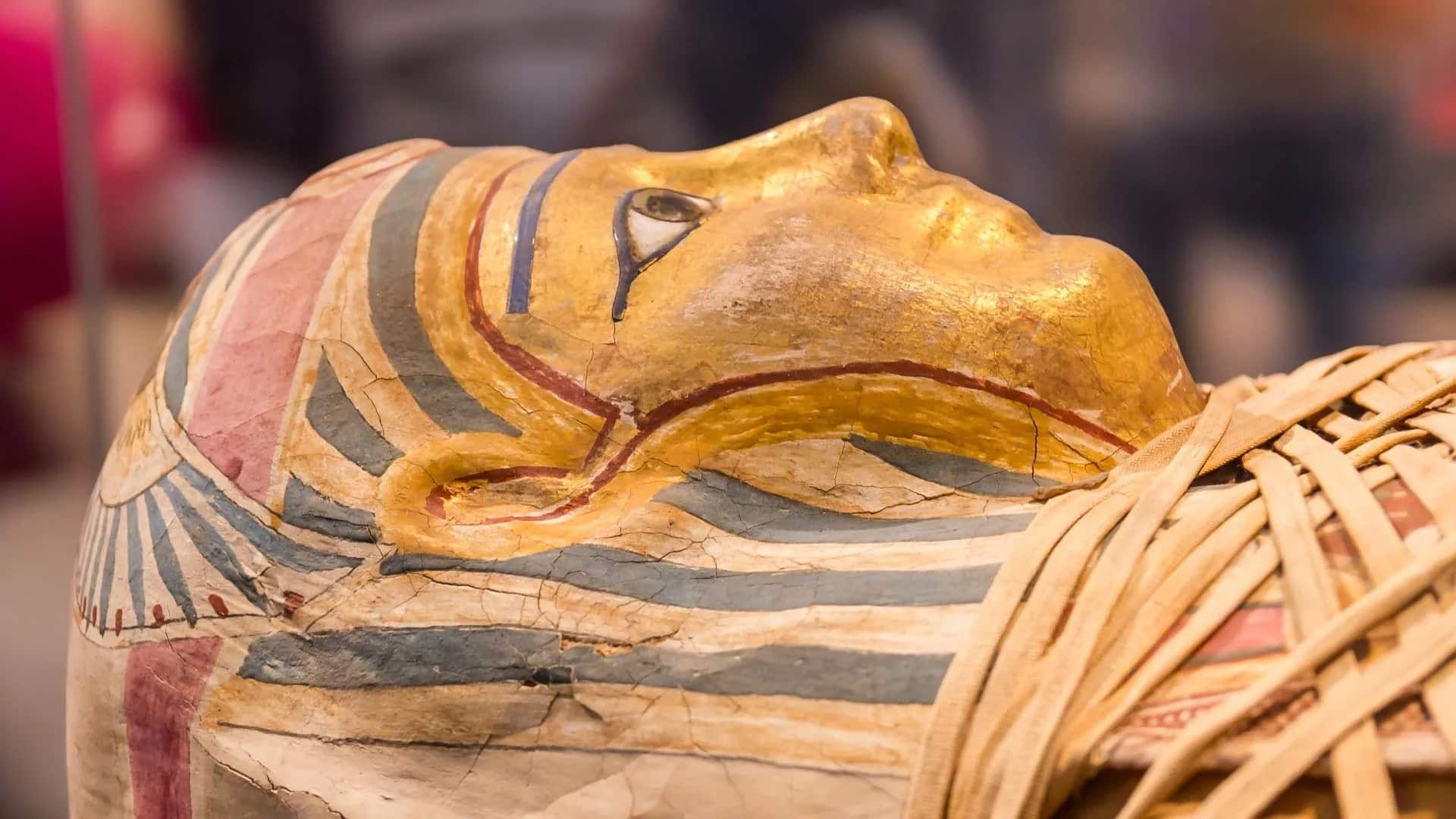 mummie egizie museo conservazione sarcofago analisi non invasiva