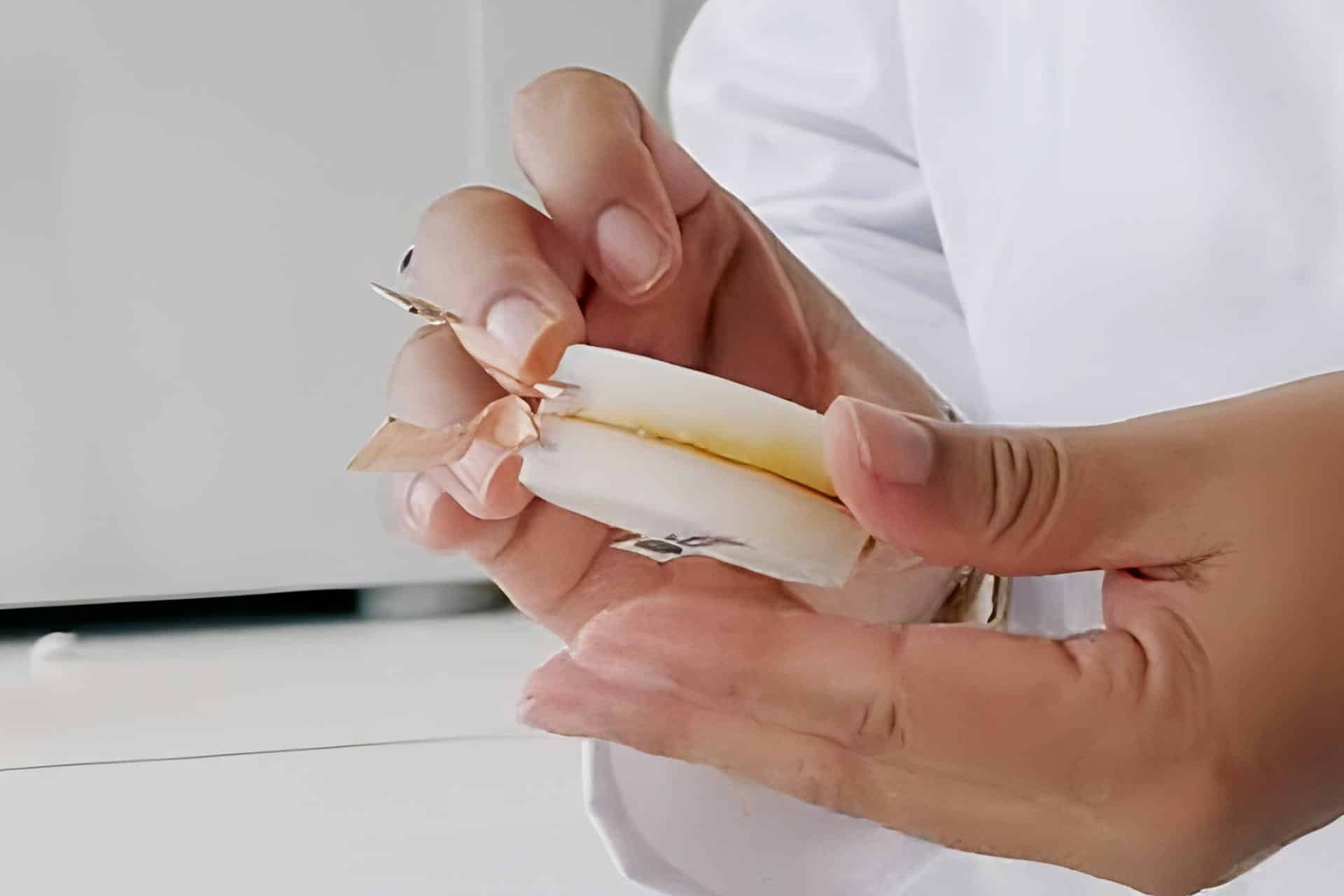 batteria ai funghi stampata in 3D biodegradabile laboratorio