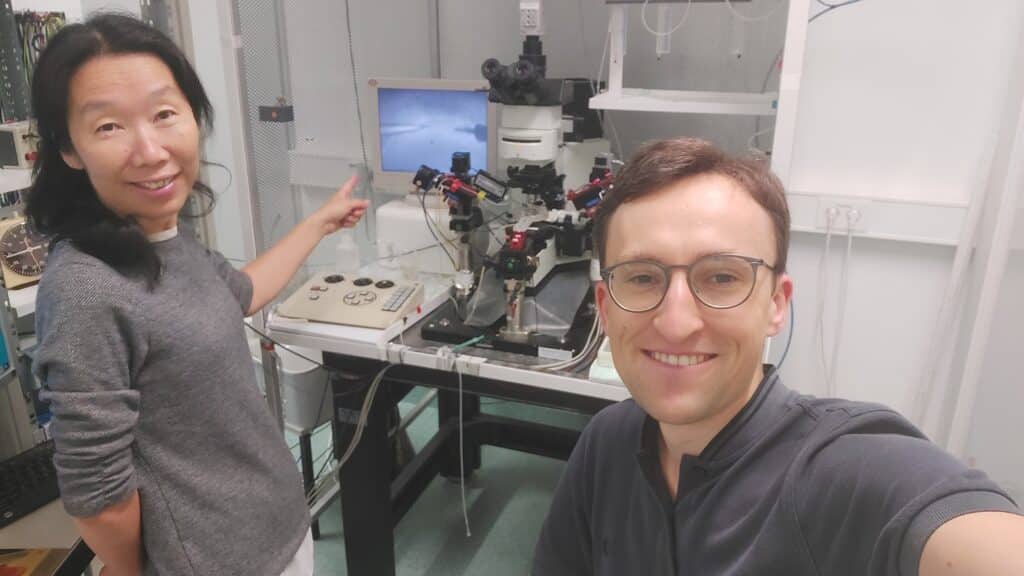 Vitrificazione cervello