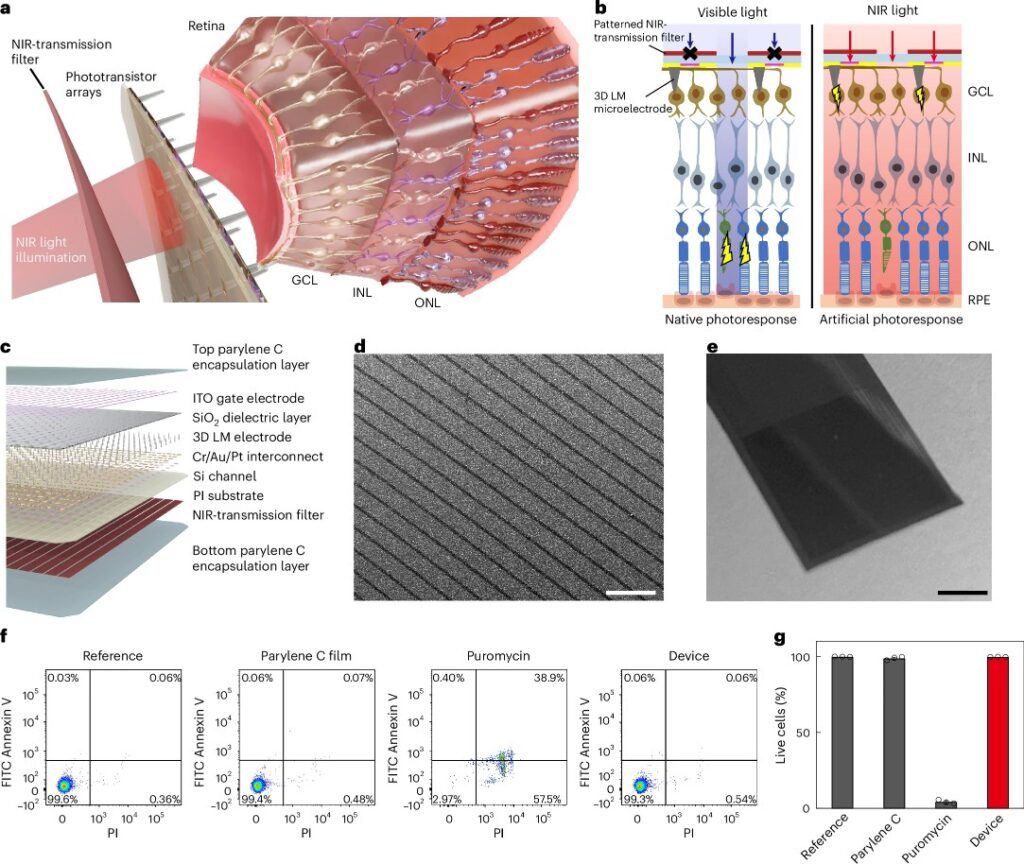 Retina artificiale