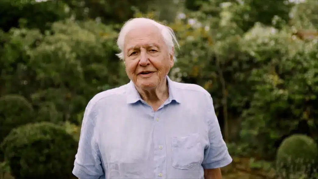 Cent’anni di David Attenborough: un secolo a guardare il futuro