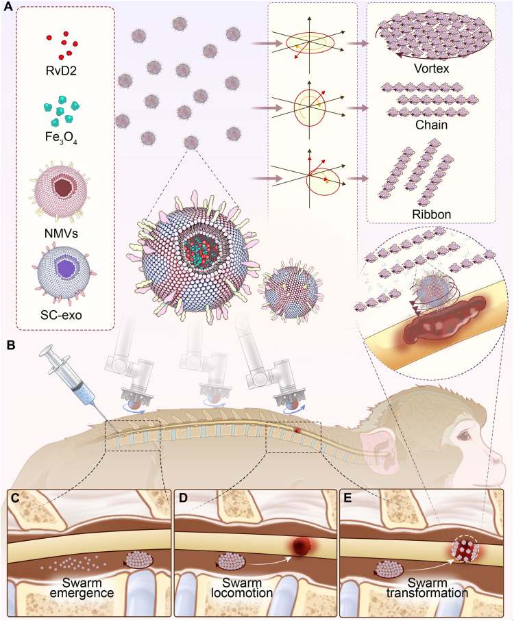 Nanorobots