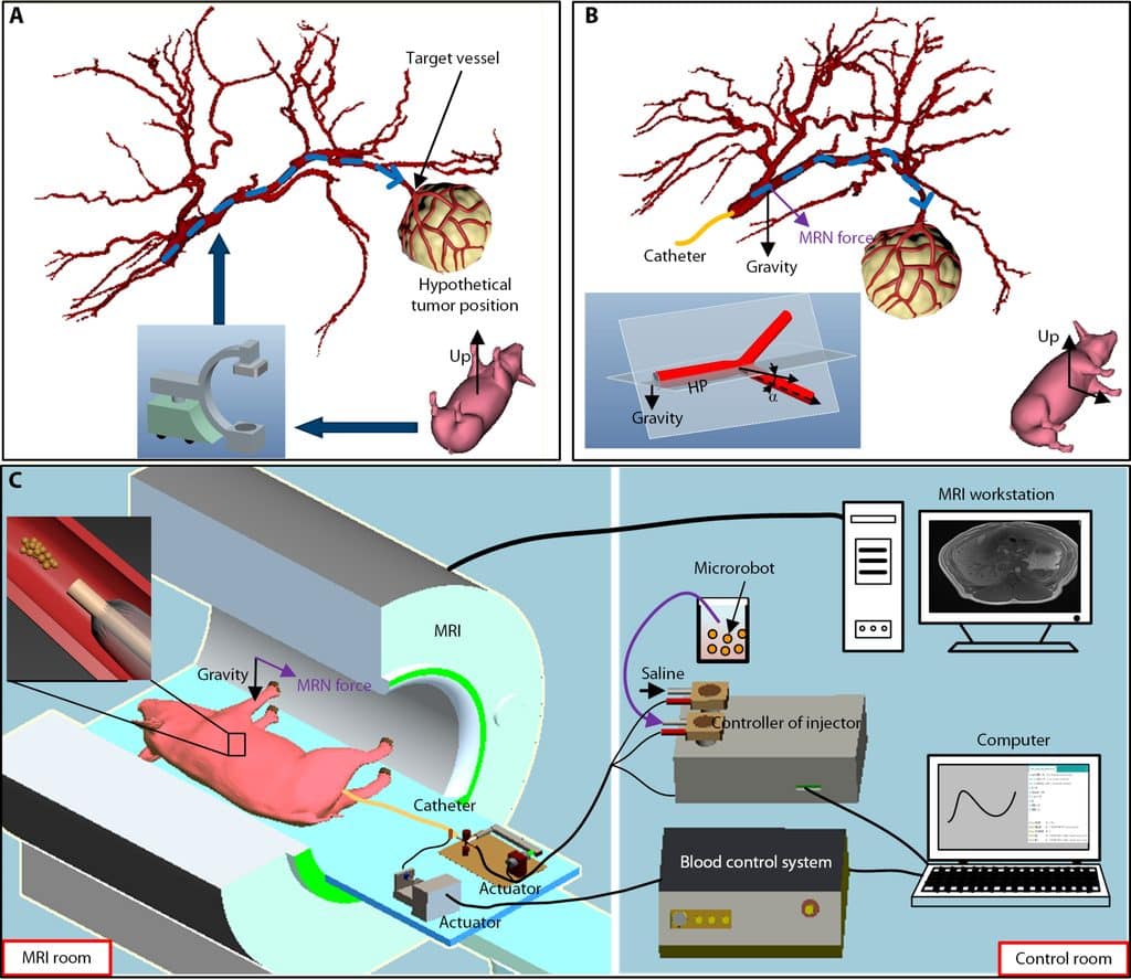 Nanorobot magnetici