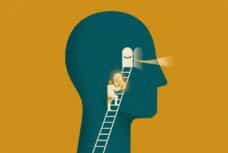 Mitochondria from the Leg to the Eye: The Transplant That Challenges ...