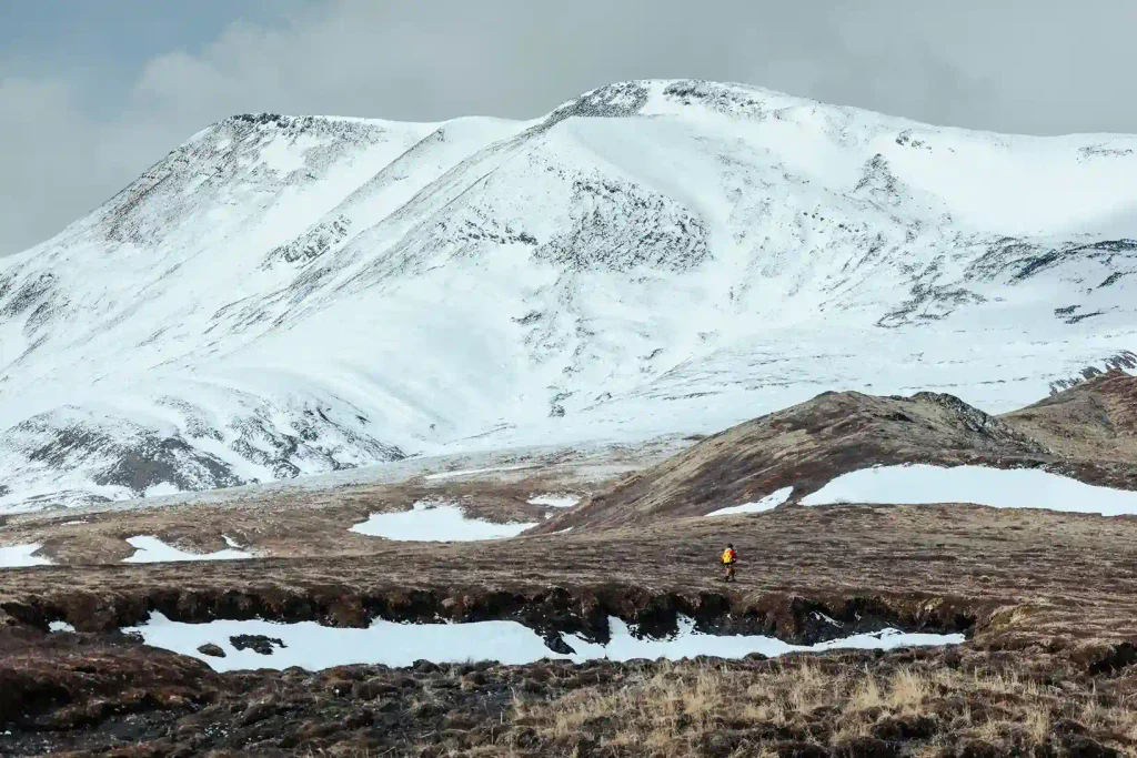 TAPPETI PERMAFROST