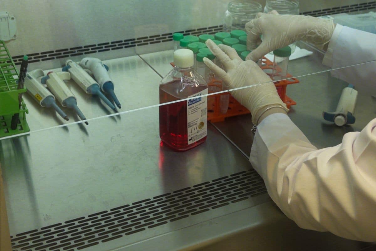 Operatrice in guanti nella cappa di un laboratorio di immunoterapia, con pipette e flaconi di terreno di coltura per cellule T