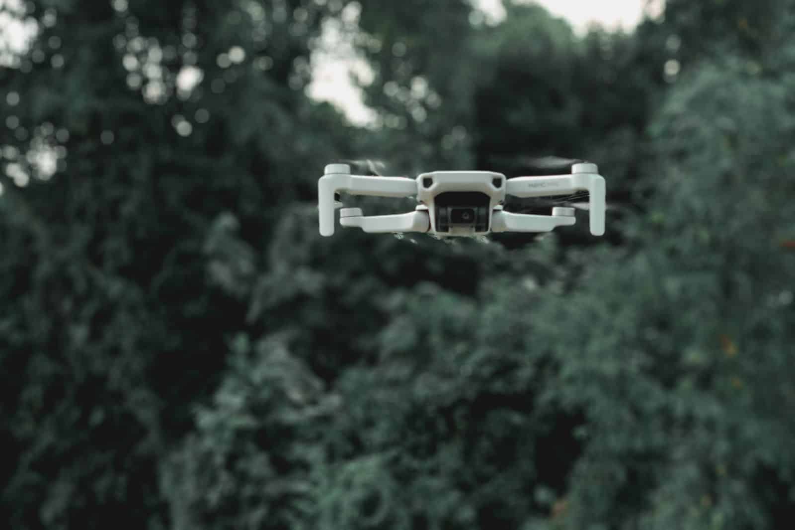 Un quadricottero con telecamera vola sotto le chiome verdi di un bosco. Drone autonomo