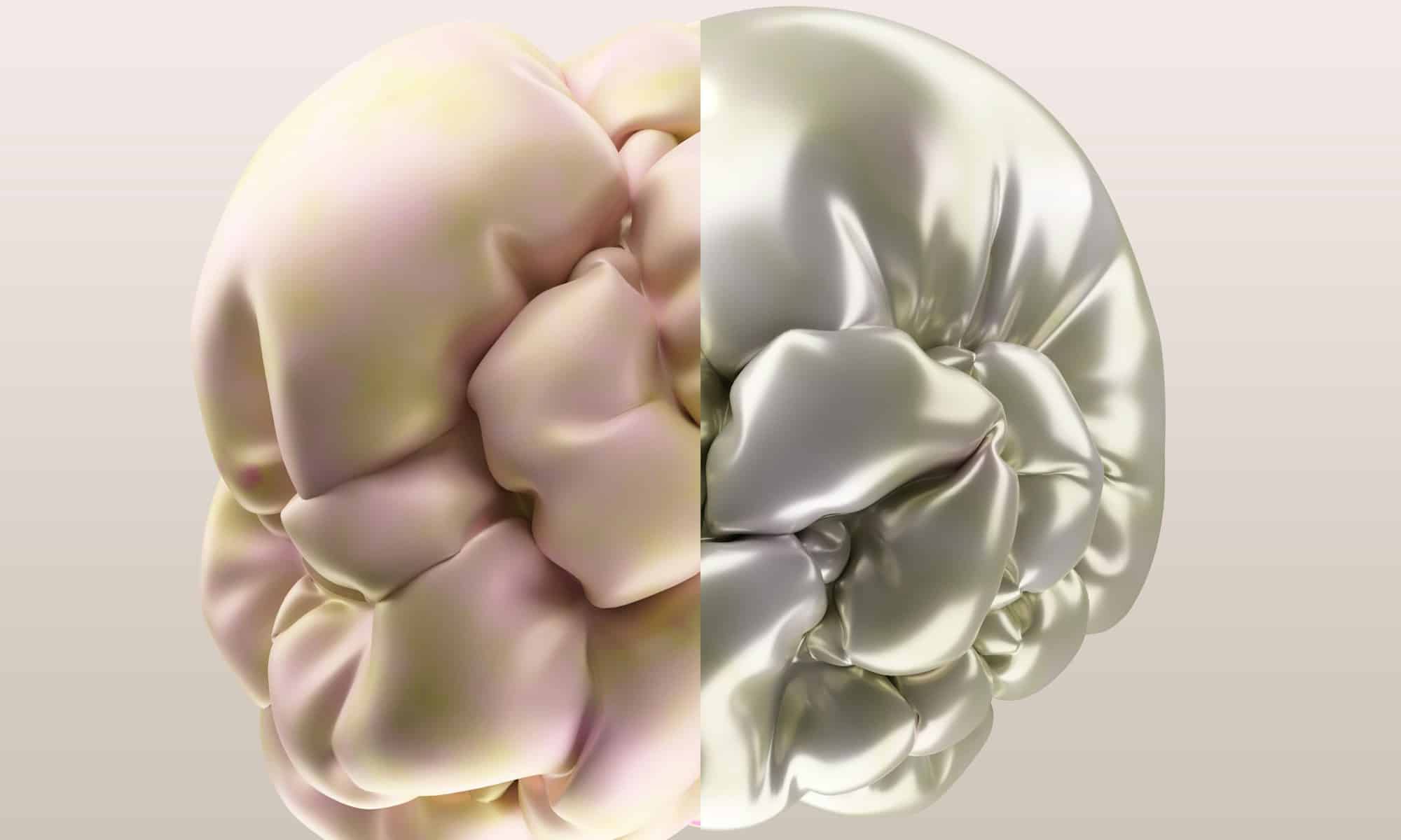 Render di un cervello diviso in due metà, una opaca e rosata, l'altra lucida e argentea. Emisfero destro