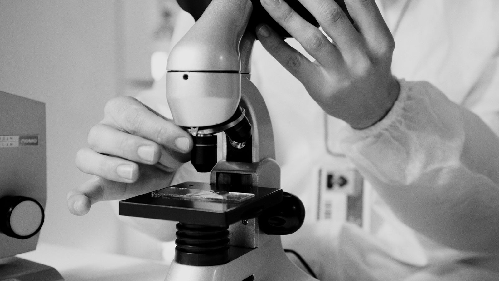 Due mani in camice da laboratorio regolano un microscopio con un vetrino sul tavolino, in bianco e nero. Freddo e longevità