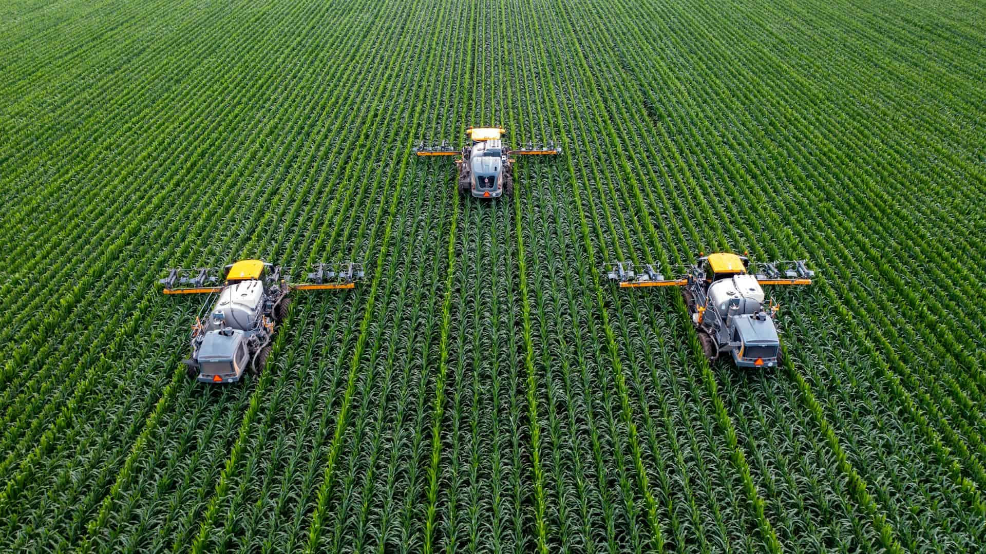 Le rese triplicano, i minerali nel grano crollano fino a metà
