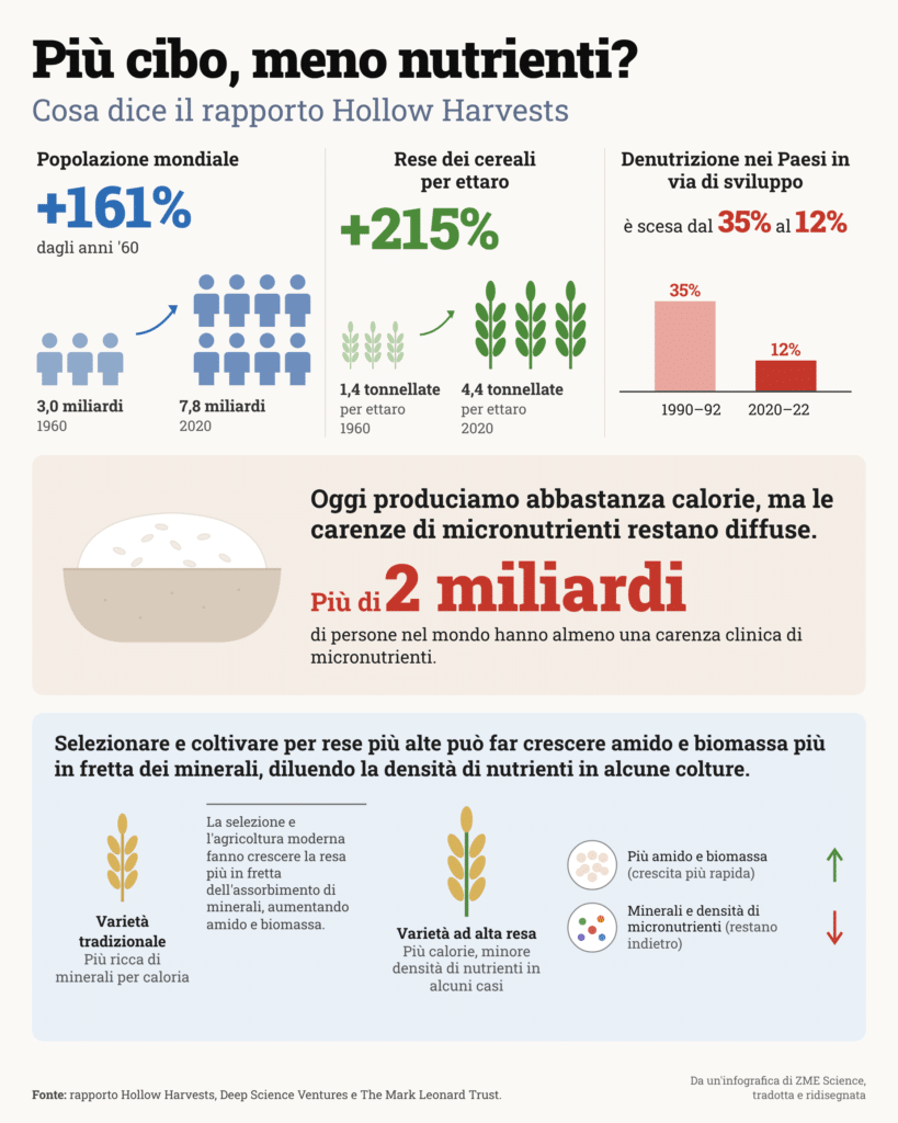 Infografica in italiano: popolazione e rese dei cereali crescono dal 1960 e la denutrizione cala, ma le carenze di minerali e micronutrienti restano diffuse