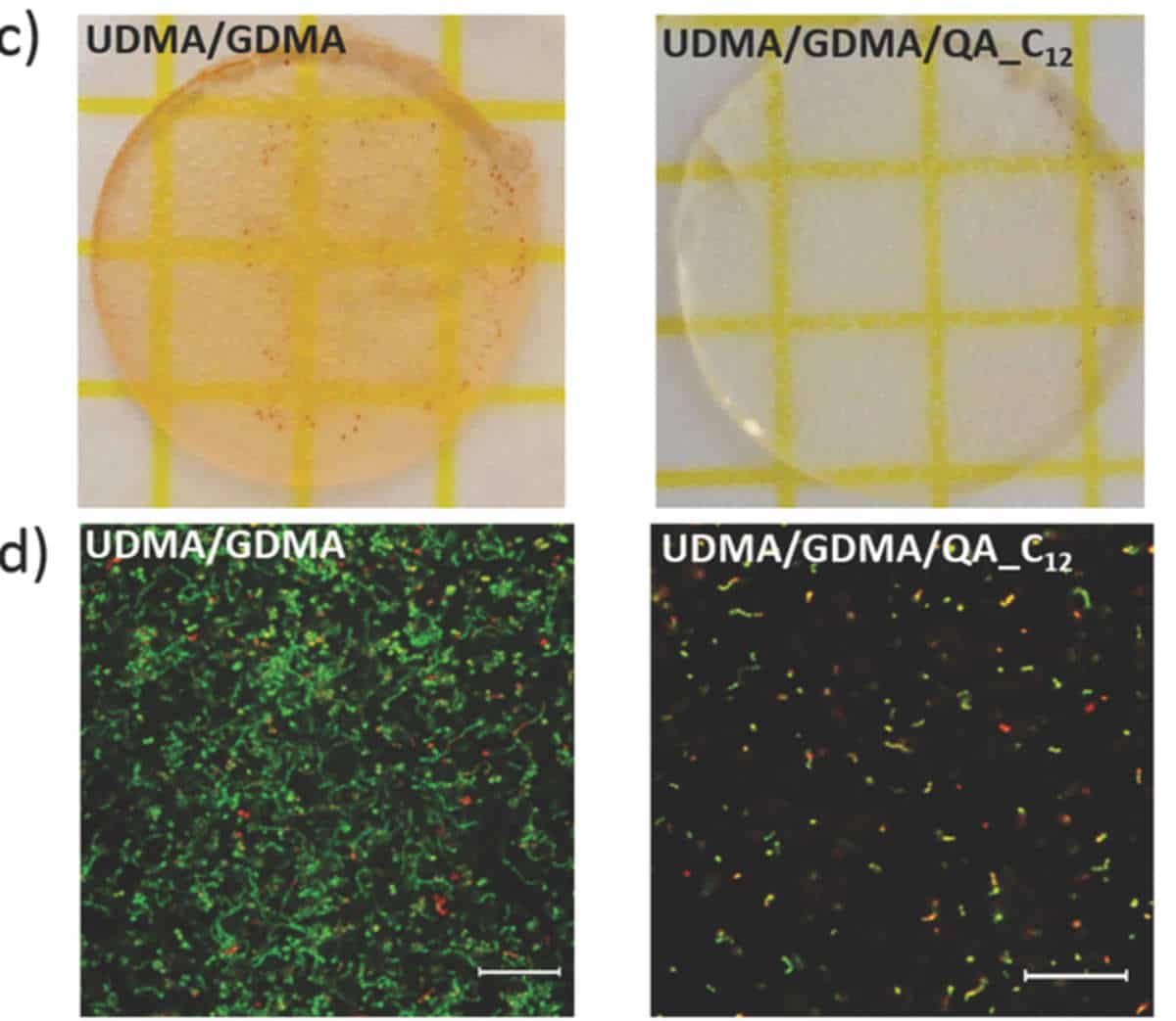 The red dots are dead bacteria, the green ones are alive. On the left there is a resin model without the special salts, on the right instead they are present: the effect is enormously different.